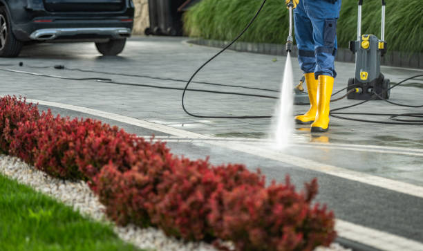 Reliable La Presa, CA Pressure Washing Services Solutions